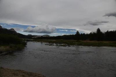 DSC_4430 (Large).JPG